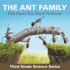 The Ant Family Fun Facts You Need To Know