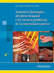 Anatomía Quirúrgica Del Plexo Braquial Y Nervios Periféricos De La Extremidad Superior